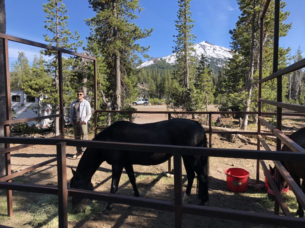 Todd Creek Horse Camp in Central Oregon Tour and Review