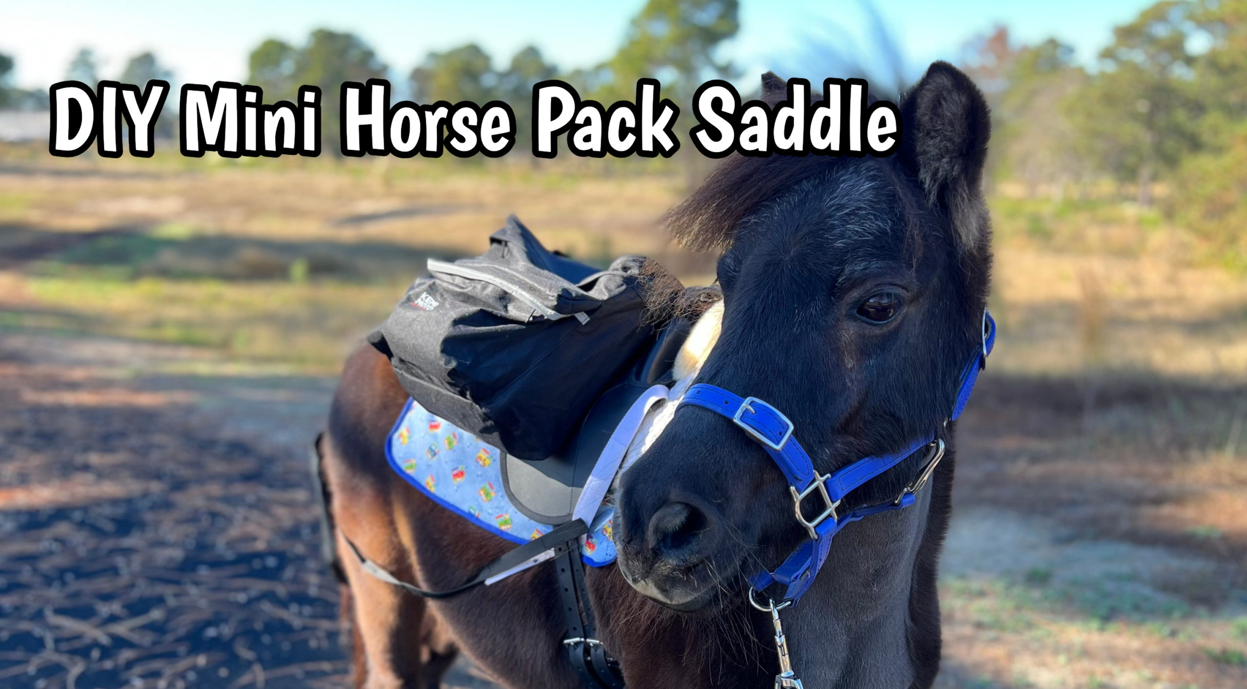 mini horse pack saddle DIY