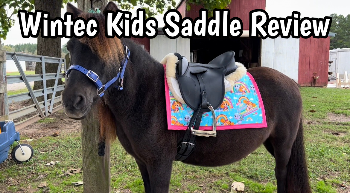 Wintec Kids Saddle Review
